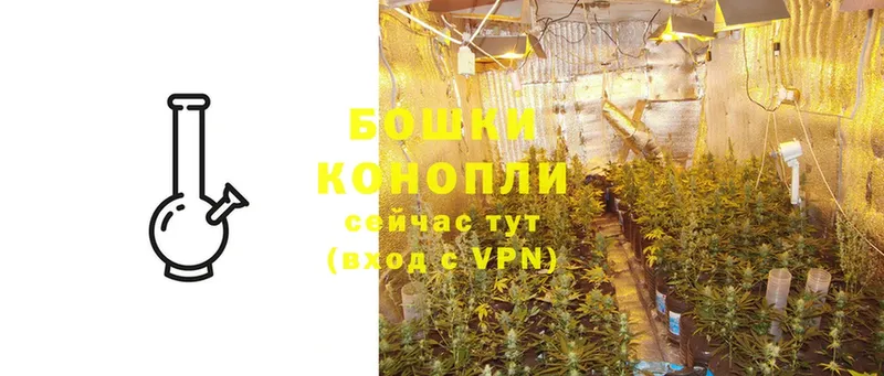 Каннабис Ganja  Клин 